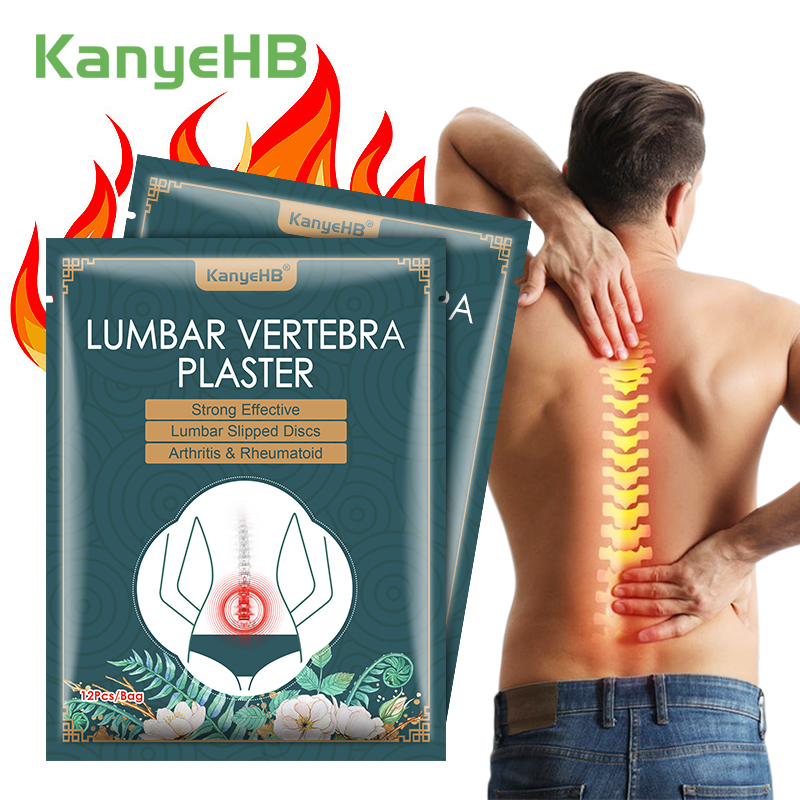 12/48PCS Waist Hot Compress Di - Skincare Herbal reseña y precio
