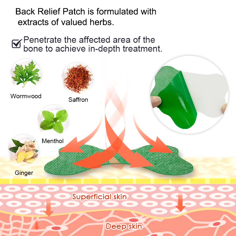 12/48PCS Waist Hot Compress Di - Skincare Herbal reseña y precio